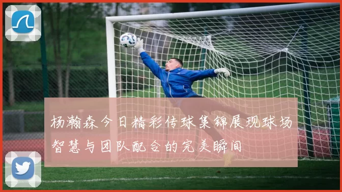 杨瀚森今日精彩传球集锦展现球场智慧与团队配合的完美瞬间