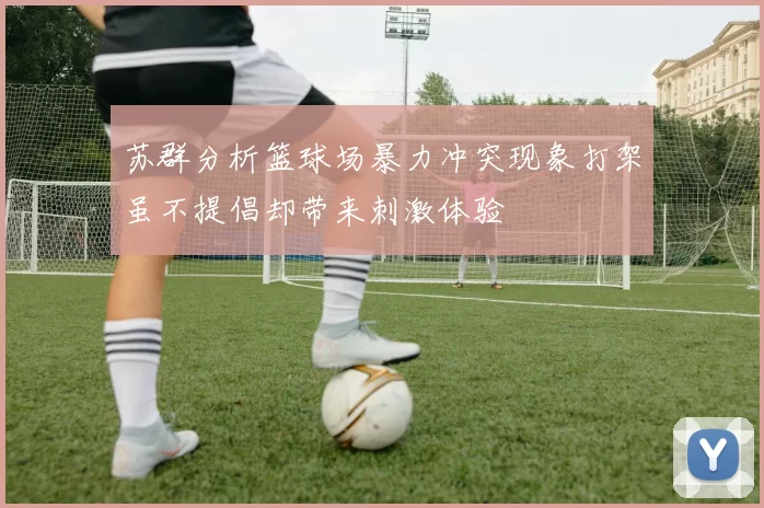 苏群分析篮球场暴力冲突现象打架虽不提倡却带来刺激体验