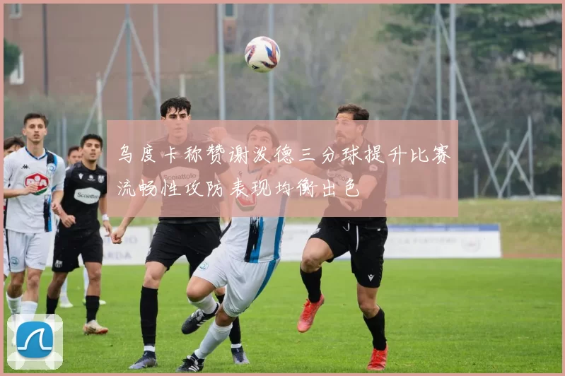 乌度卡称赞谢泼德三分球提升比赛流畅性攻防表现均衡出色